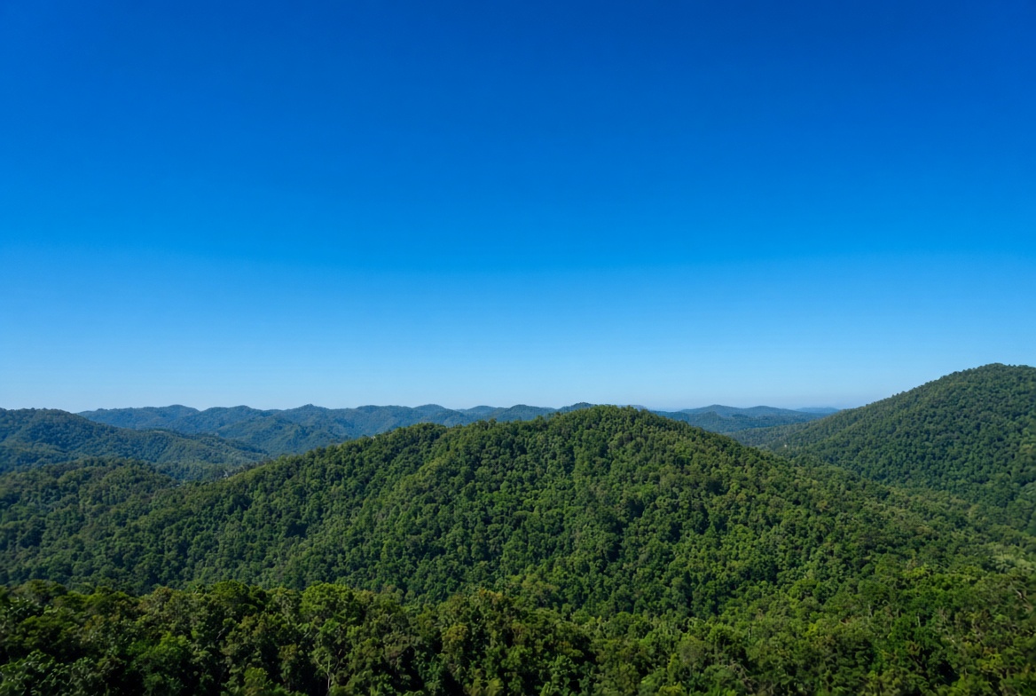 Langit biru di atas perbukitan hutan